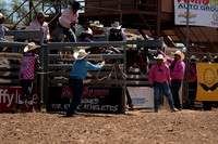 Saddle Bronc