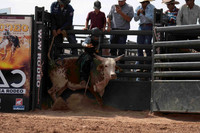 Bulls