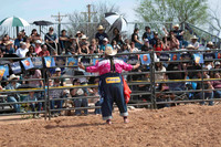 Calves