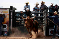 Steers
