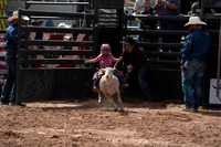 Woolys