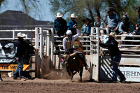 Bulls