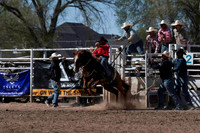 Broncs