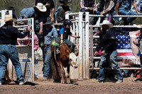Calves