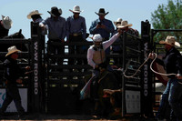 Bulls