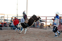 Steers