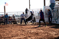 Calves