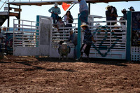 Woolys