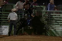 Jr Bulls