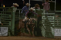 Bulls