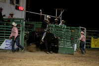 Bulls