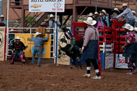 Bulls