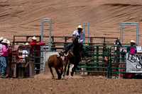 Bull Dogging