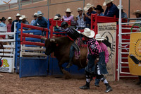 Bulls
