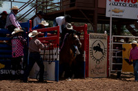 Broncs