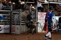 Saturday Nite Bulls