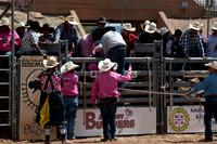 Bulls