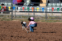 Goat Tagging