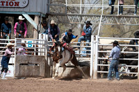 Bare and Broncs